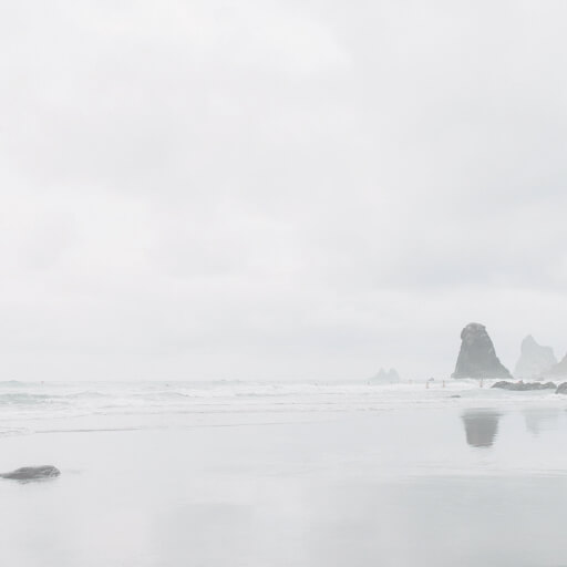 Sea bich