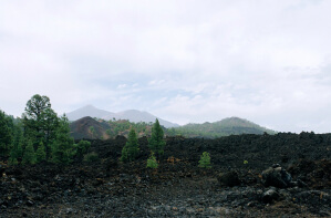 Mountains